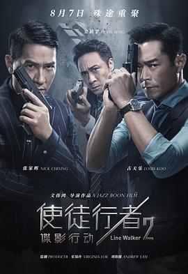《隐藏的面孔》海报